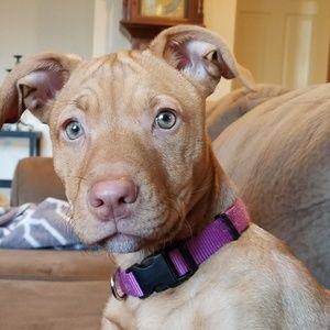 Meet your Posher, Christine / Bill